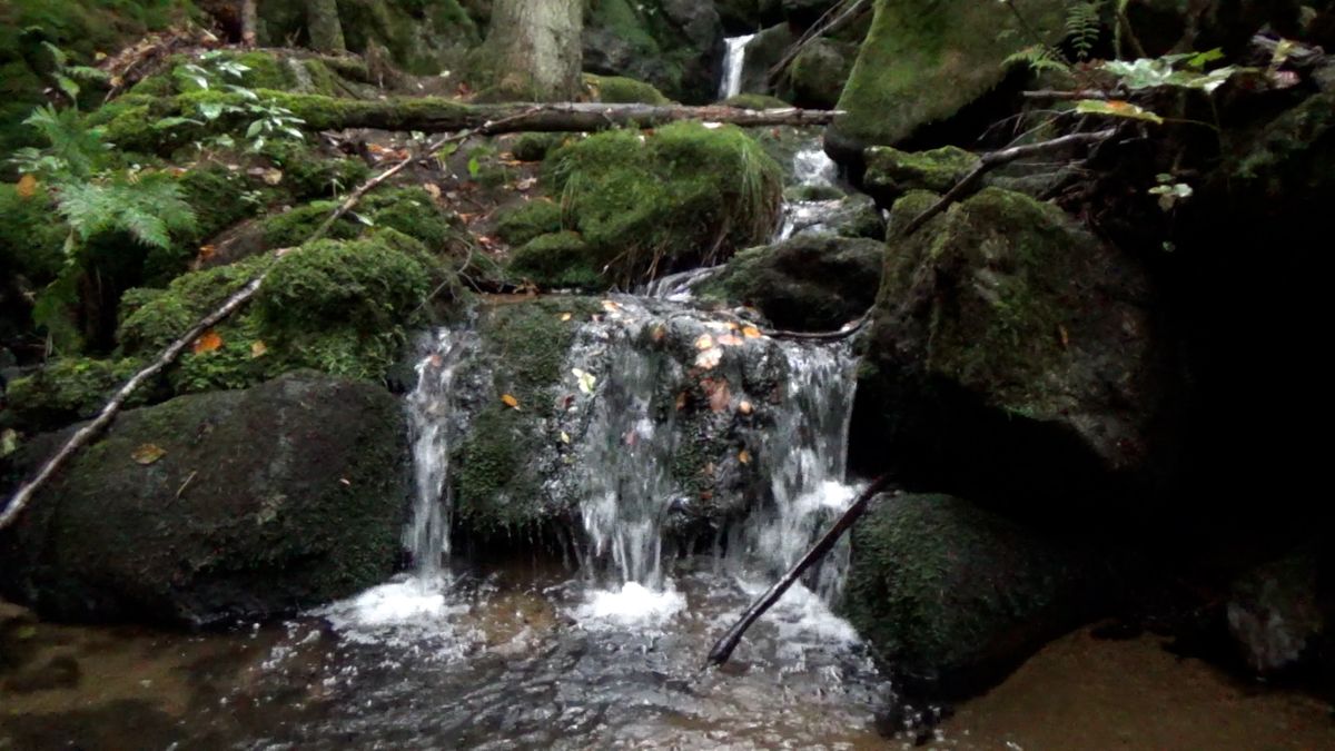 Dobře utajený vodopád v hlubokých lesích u šumavského moře
